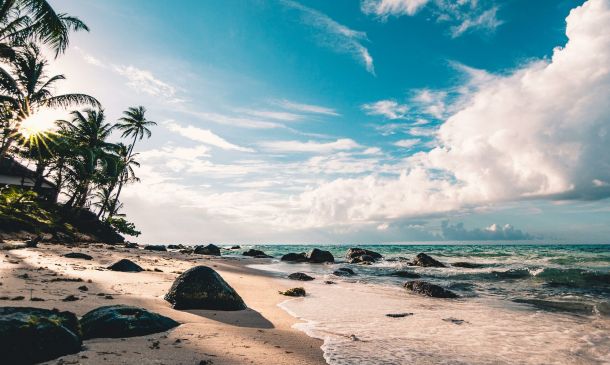 Which Is Costlier, North Goa Or South Goa? pexels fabian wiktor 994605 scaled 2ba8fa88