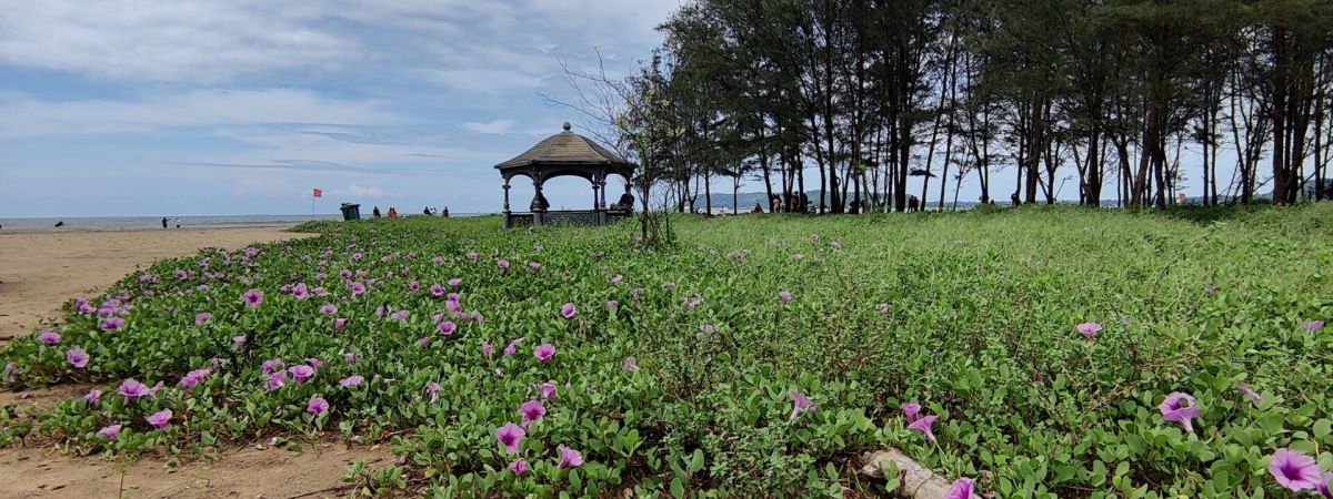 Discovering Anjuna Beach's Bohemian Vibe 1 Goa